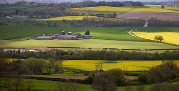 Palterton towards Sutton Scarsdale farm and hall spring 2026 sun 2.jpg